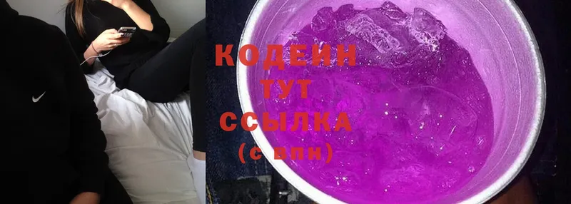 ссылка на мегу зеркало  Каменногорск  Кодеиновый сироп Lean Purple Drank 